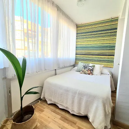 Aa Guest - El Mono De Eco *
