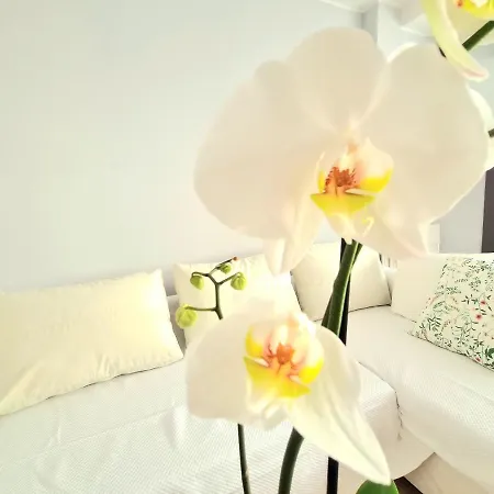 Apartment Aa Guest - El Mono De Eco