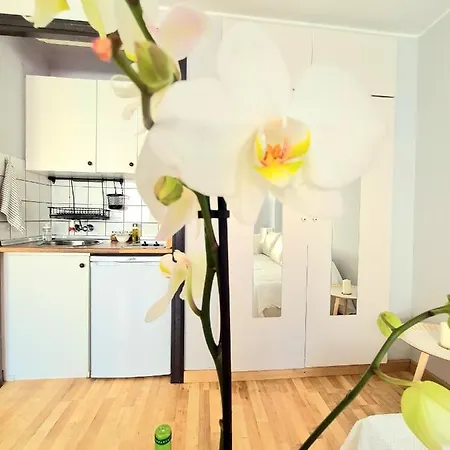 Apartment Aa Guest - El Mono De Eco