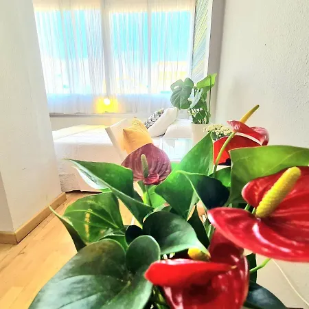 Aa Guest - El Mono De Eco Apartment